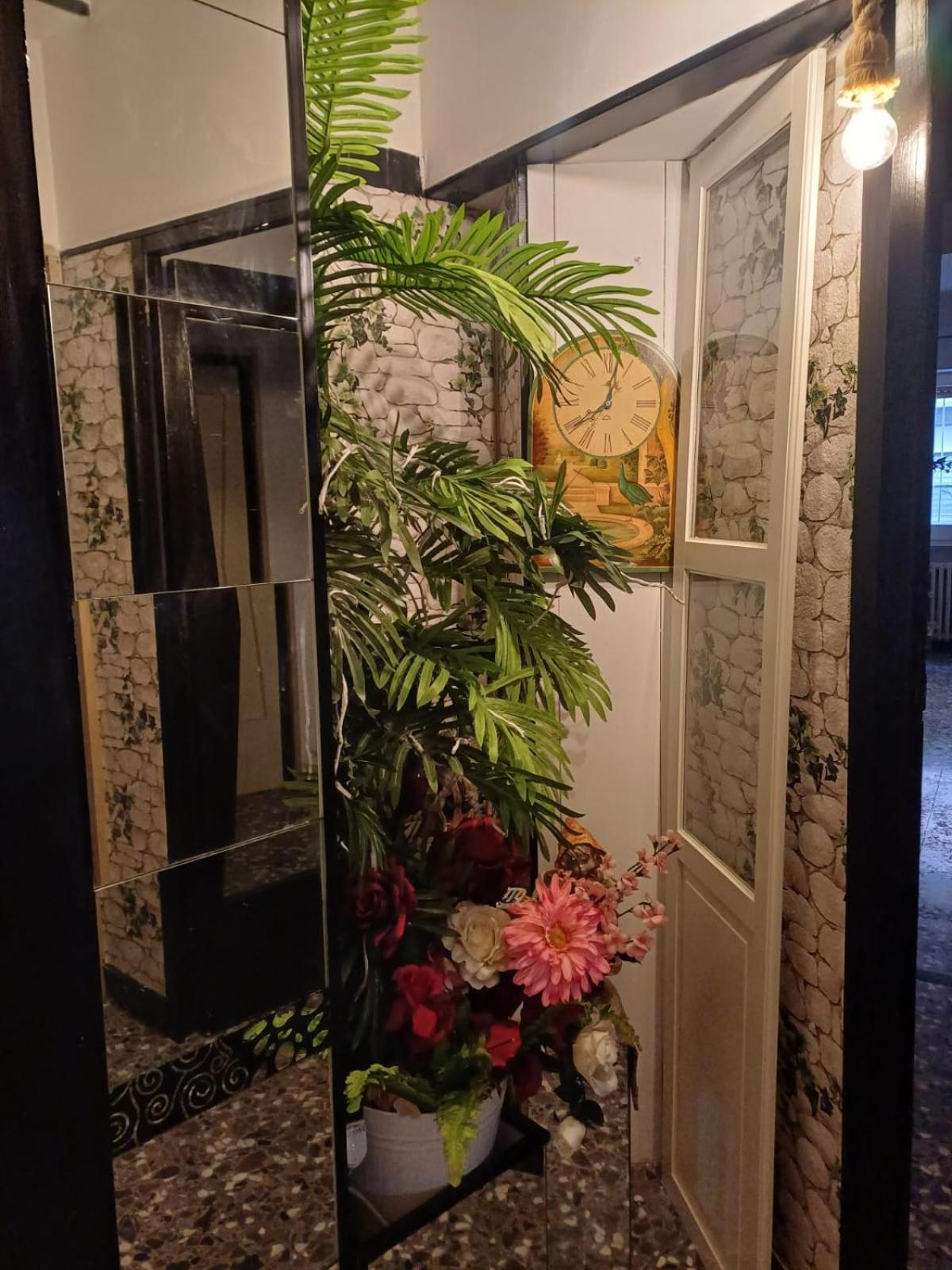 Flower 特拉尼 外观 照片