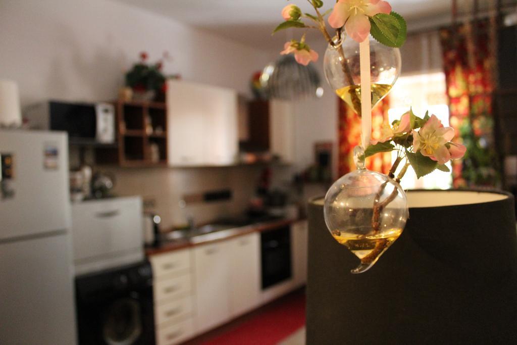 Flower 特拉尼 外观 照片